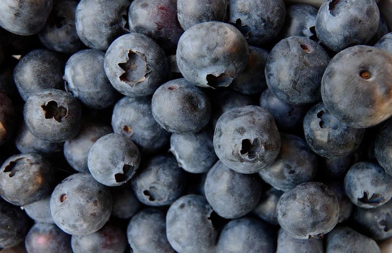 Blueberries Image